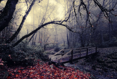 ​微信昵称漂亮符号大全