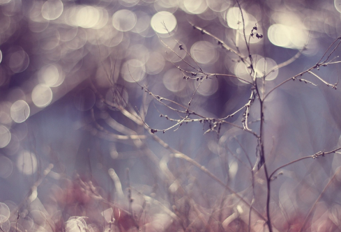 1685592679967080.png image.png