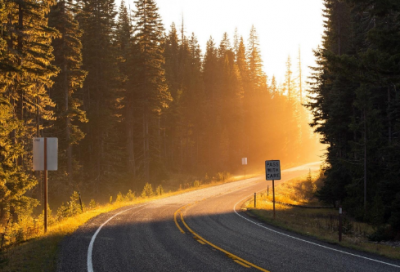 ​童年的馒头教案一等奖