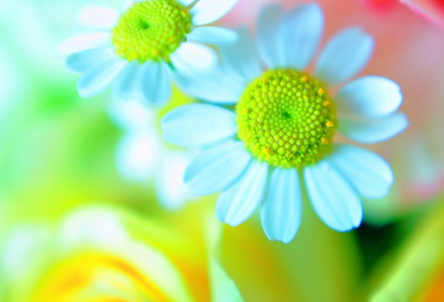 1685593012651046.png image.png