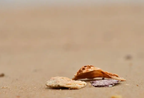 1685593180782682.png image.png