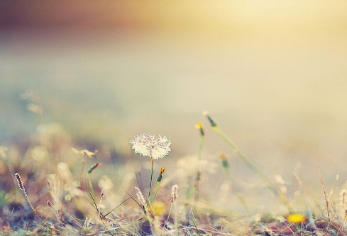 1685593687332454.png image.png