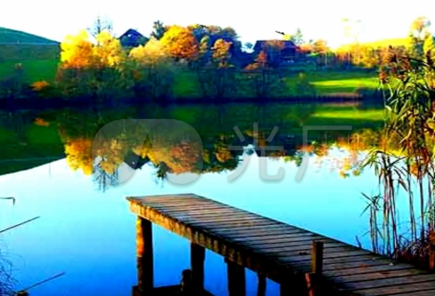 1685594021407071.png image.png