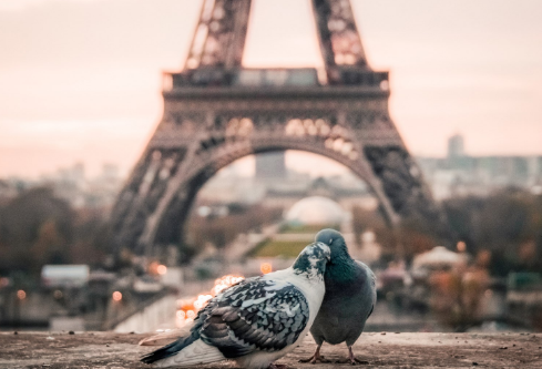 1685595523882038.png image.png