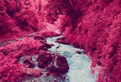 ​初中教导处的教学工作计划