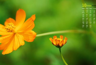 ​开工大吉的文案