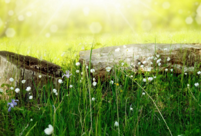 ​小学教导工作计划