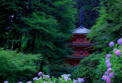 ​小学家长会教师发言稿