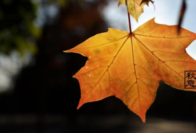 ​《再塑生命的人》教学设计一等奖