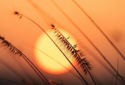 ​教学媒体的选择与设计