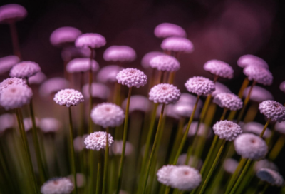 ​是你给我力量作文