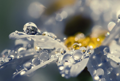 ​什么的滋味半命题作文