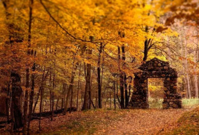 ​财务会计实习报告范文