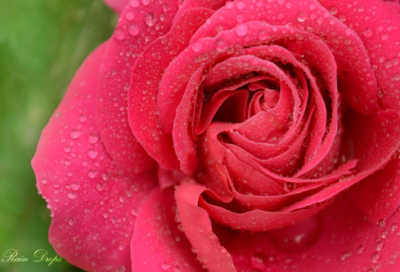 ​物流公司实习总结