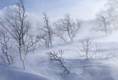 ​中秋节的四年级作文