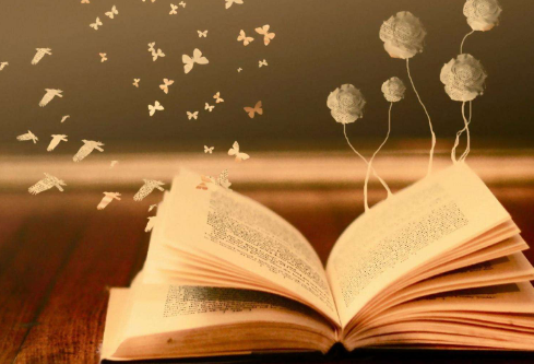 1686489771110516.png image.png