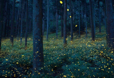 ​岗前培训心得体会