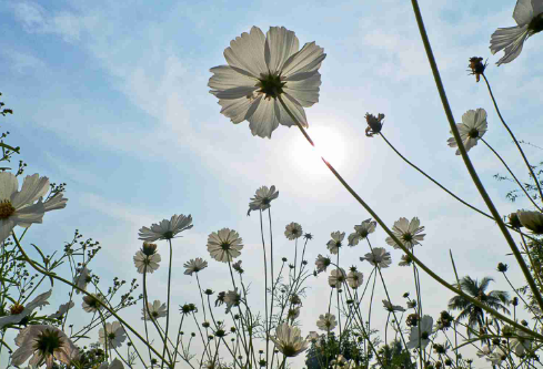 1686490770955228.png image.png