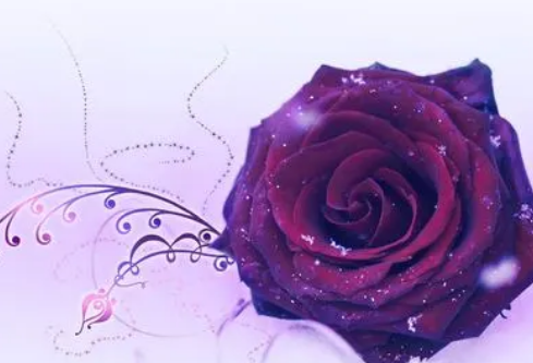 1686497115641671.png image.png