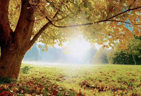 1686497448848460.png image.png