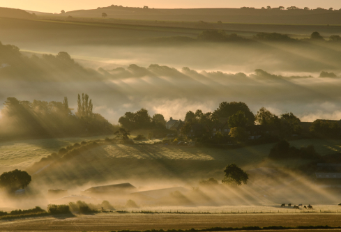 1686497615613479.png image.png