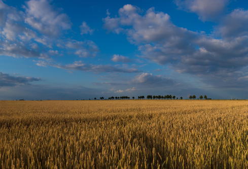 1686499292935311.png image.png