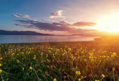 ​小学三年级语文《让我们荡起双桨》教案一等奖