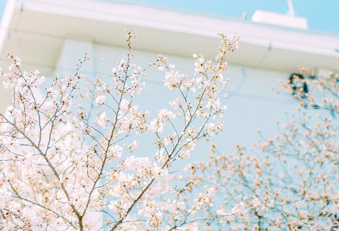 1686501970311913.png image.png