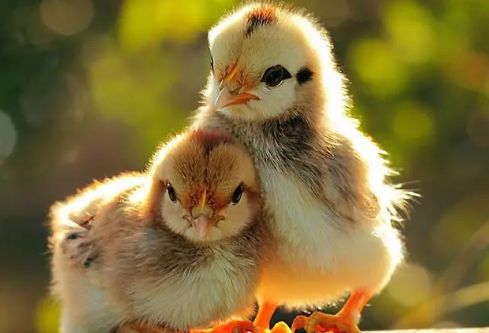 1686502303164602.png image.png