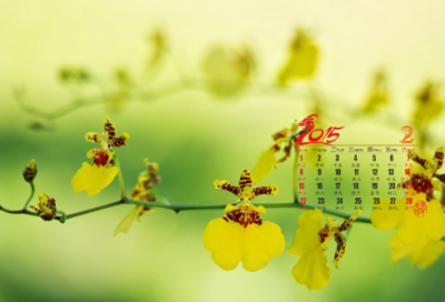 ​落花生小练笔作文