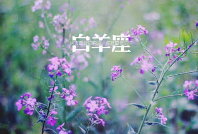 ​后来的我们观后感1900字