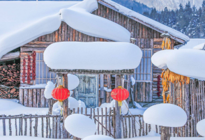 ​见习报告总结17篇