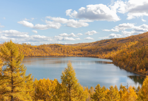 1686507965255098.png image.png