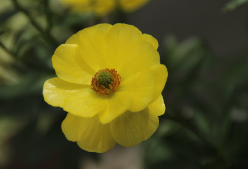 1686508465557611.png image.png