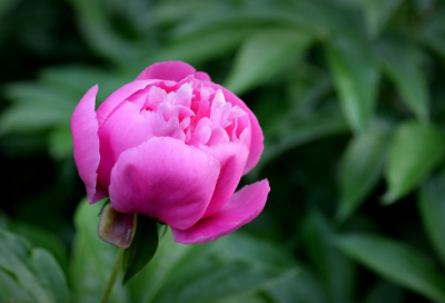 ​五一假期作文