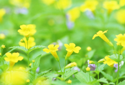 ​年末工作总结20篇