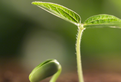 ​年底工作总结