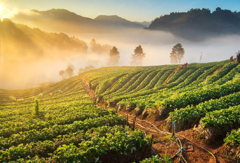 1686514128989594.png image.png