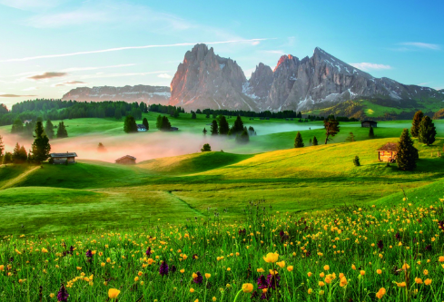 1686800113117795.png image.png