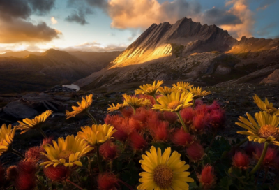 ​你的专属沙雕网名