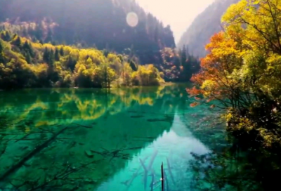 ​心灰意冷的网名