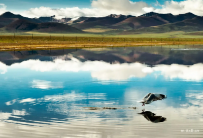 ​好看的网名符号搭配