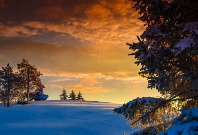 ​有特色的网名