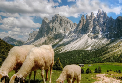 ​无敌叼到爆的网名