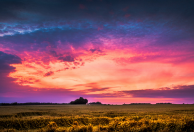 ​网名励志奋斗霸气的