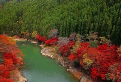 ​骂人的网名越毒越好