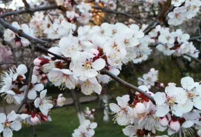 ​赵姓女孩名怎么起好听姓赵的女孩名字大全