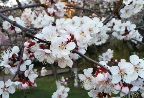 1686877545950624.png image.png