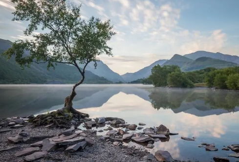 1686878045512548.png image.png