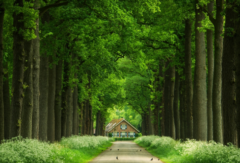 1686878211629655.png image.png